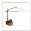 Plants: image 1 0f 4 thumb