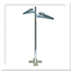 Plants: image 1 0f 4 thumb