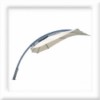 Plants: image 1 0f 4 thumb