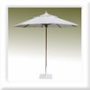 Plants: image 1 0f 4 thumb