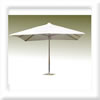 Plants: image 1 0f 4 thumb